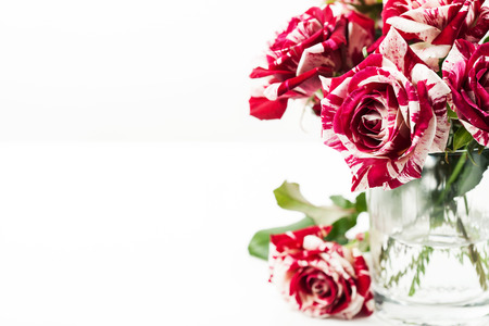 Tiger stripe roses in vase on white backgroundの写真素材
