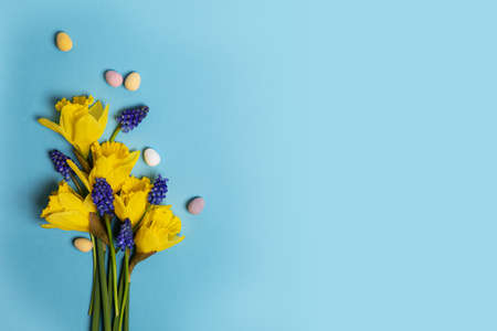 Easter daffodil bouquet and colorful eggs on cyan backgroundの写真素材