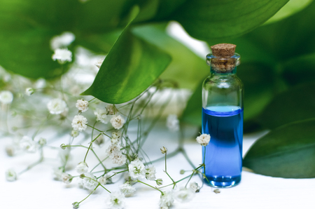Blue essence healing tincture on white wooden table background. Herbal medicine concept. Alternative medicine.の写真素材