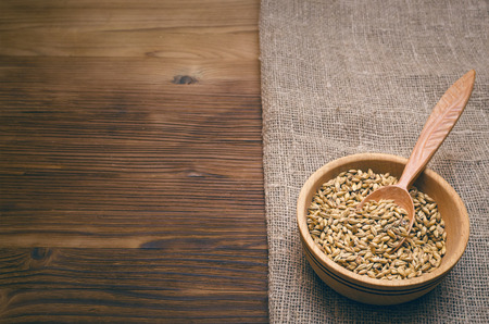 Malt grains in wooden bowl with spoon on burlap cloth on brown wooden table background with copy...