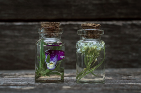 Pansies flower essential oil on wooden background. Herbal medicine. Naturopathy.