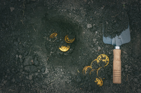 Coins searching. Treasure hunting concept. In search of a lost treasure.の写真素材
