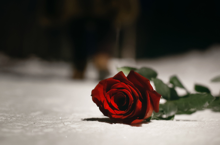 Red rose flower laying on the snow covered road in a winter night park and walking away woman silhouette. Failed date or broken heart concept.の写真素材
