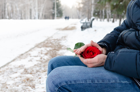 Man is sitting on a bench in a winter park and is holding and is warming a red rose flower in his hands in anticipation of a meeting with a girl. Romantic winter date.の写真素材