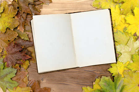 Open vintage book with blank empty pages in canadian maple autumn leaves on wooden surface...