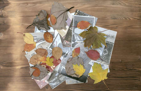 Vintage retro photos of peoples with no faces in autumn foliage on wooden desk table background....