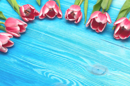 Tulip flowers on blue wooden table board background with copy space. Woman day concept. Mother day...