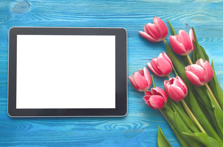 Tulip flowers and tablet computer device with blank screen on blue wooden table board background...