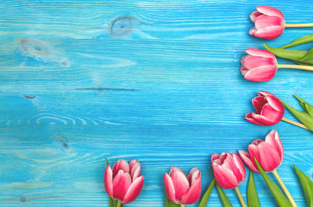 Tulip flowers on blue wooden table board background with copy space. Woman day concept. Mother day background. Saint Valentines day greeting card mock up. Top view.の写真素材