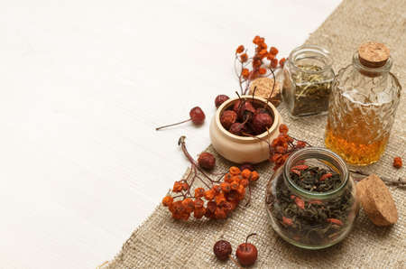 Herbal medicine. Alternative medicine concept. Dry organic natural ingridients. Wild berry and and...