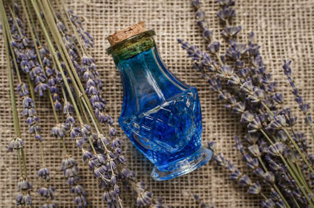 Herbal medicine. Alternative medicine concept. Dry organic natural ingridients. Healing tincture beverage and dry lavender branches on the table.の写真素材