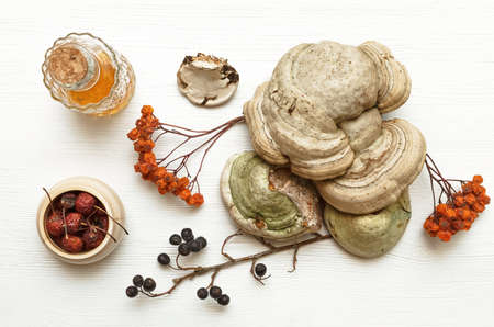Herbal medicine. Alternative medicine concept. Wild dry rowan berry medicinal tincture and medical...