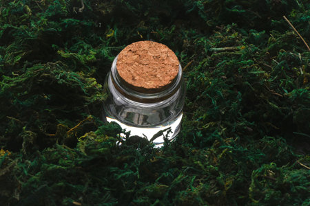 Clean water in the moss close up background.の写真素材