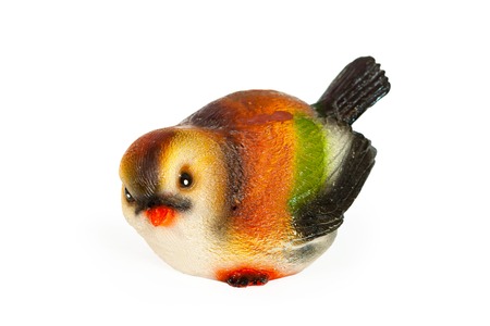 color bird on a white background isolatedの写真素材