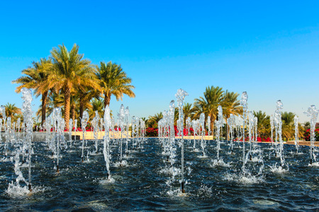 Luxury water fountain in tropical resort with palm trees.の写真素材