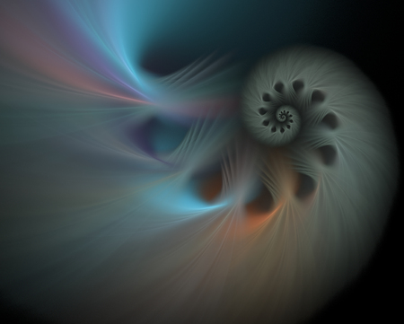 Fractal Generated By A Computer At random.