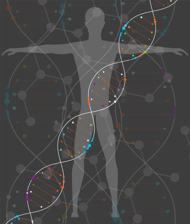 DNA and a man on a gray background. The study of human DNA. Body cloning, DNA tests, tests. Medical technology of the future.のイラスト素材