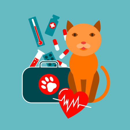 Treatment of animals. First aid for the cat.のイラスト素材