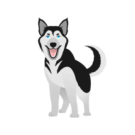 Siberian husky with blue eyes. Satisfied thoroughbred dog.のイラスト素材