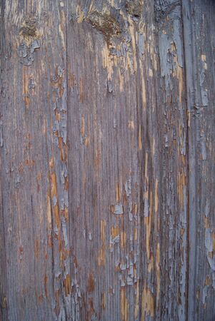 Wornout wood textureの写真素材