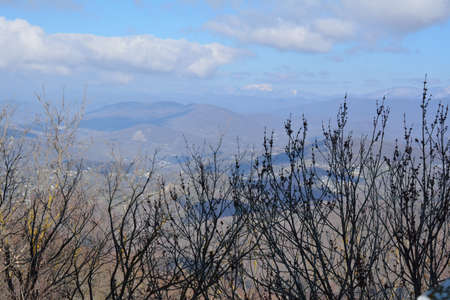 Mountain view  in the far in winter bright sunny day with tree branches in frontの写真素材