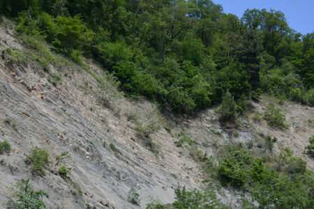 weathered rock, trees  and soil on the mountain steepの写真素材