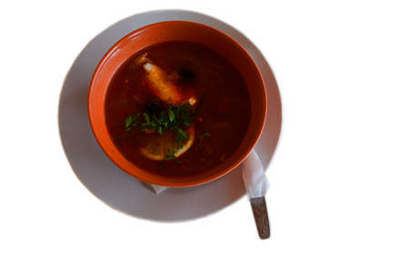 Hot meat solyanka Russian soup made with different types of meat and serves sour cream, lemon and greeneryの写真素材