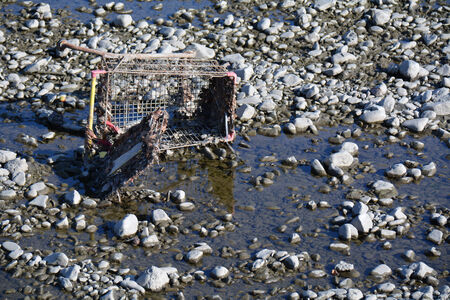 Purchasing power fall conceipt: shopping cart lying in puddlesの写真素材