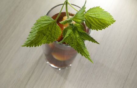 Cold herbal drink in a glass with fresh nettle on itの写真素材