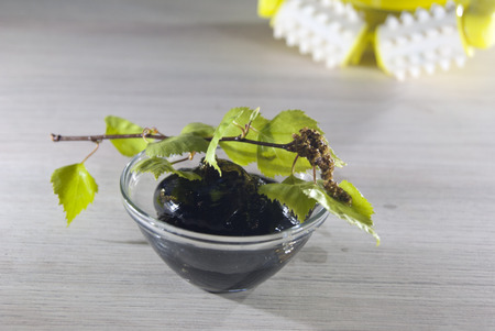 Homemade birch cosmetics for spa with fresh birch branchの写真素材