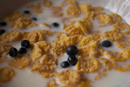 flakes, milk and berries in a bowl