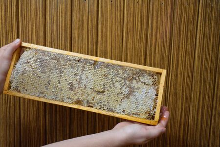 man holding a wooden frame with honey, closed with waxの写真素材