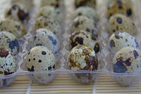 brown quail eggs in plastic package, in rowsの写真素材