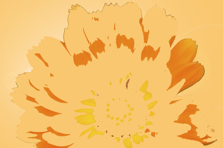 Large yellow flower of the yellow backgroundの写真素材