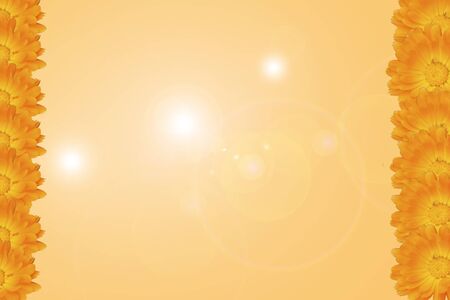 Light yellow backgrouynd with flowers and glaresの写真素材