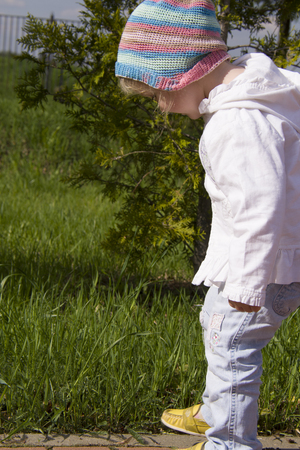 toddler girl standing on the pavement, from the backの写真素材