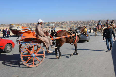 GIZA/EGYPT - NOVEMBER 30, 2018:man sitting in the horse carriage, waiting for touristsのeditorial素材