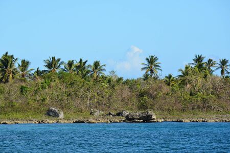 dominican coast with a palm and several rocks, in sunny weatherの写真素材