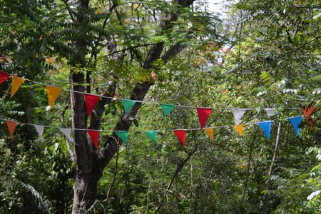 small riangular flags in the park, with leaves behind