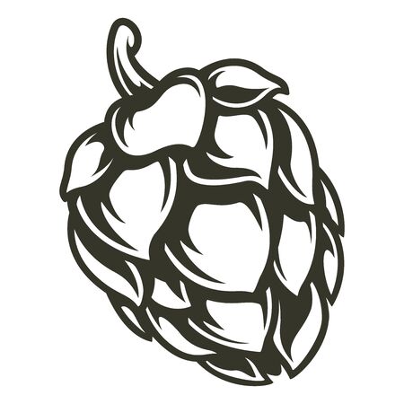 Vector illustration of hop on a white backgroundのイラスト素材