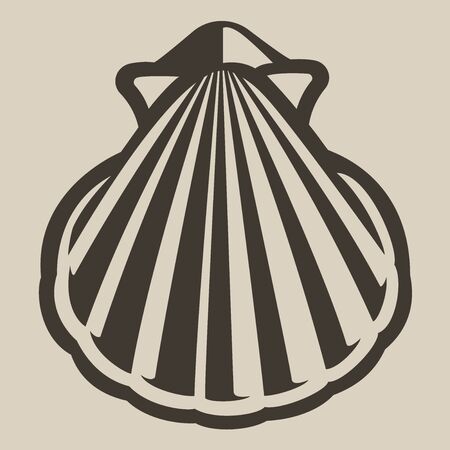 Black and white illustration of a seashell on a white background
