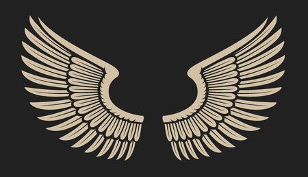 Vector illustration of wings on dark background.のイラスト素材