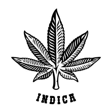 Black and white illustration of a cannabis leaf Indica on the white background.のイラスト素材