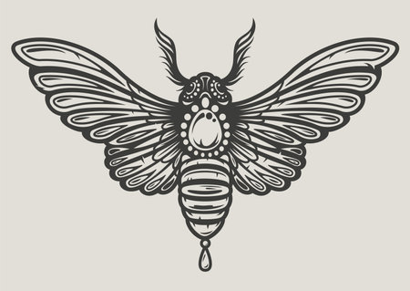 Vector illustration of a moth in decorative styleのイラスト素材