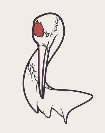 Vector illustration Japanese crane on white background.のイラスト素材