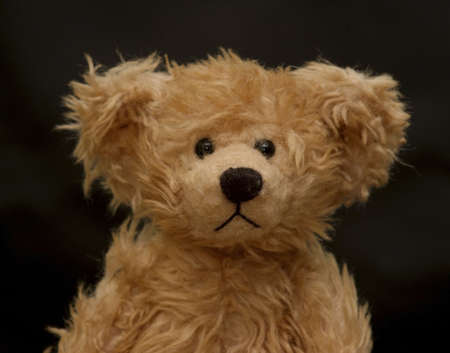 Teddy Bearの写真素材