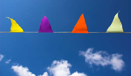 Buntingの写真素材