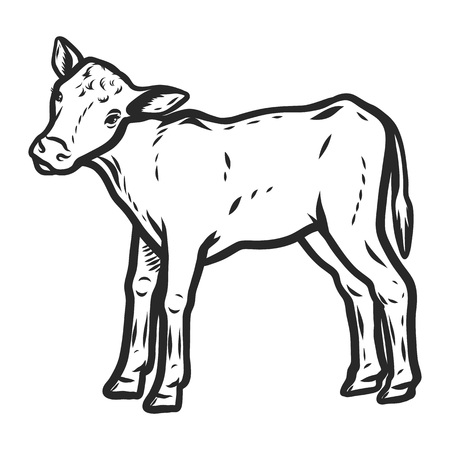 Veal icon. Hand drawn illustration of veal vector icon for web designのイラスト素材