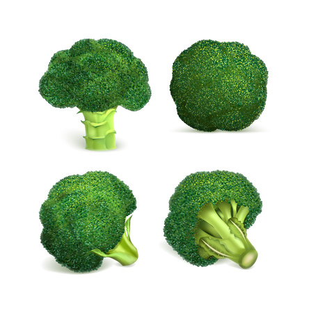 Broccoli icon set. Realistic set of broccoli vector icons for web design isolated on white backgroundのイラスト素材