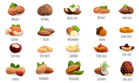 Nut icon set. Cartoon set of nut vector icons for web designのイラスト素材